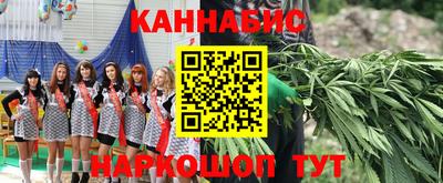 спиды Бийск