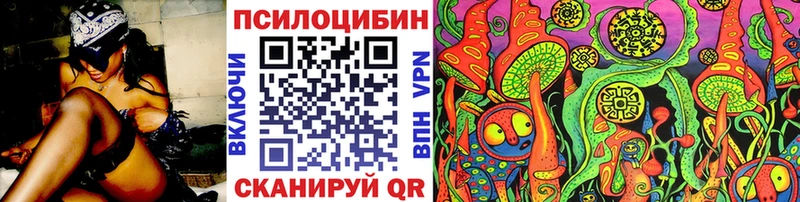 где можно купить наркотик  Лыткарино  гидра ССЫЛКА  Псилоцибиновые грибы мицелий 