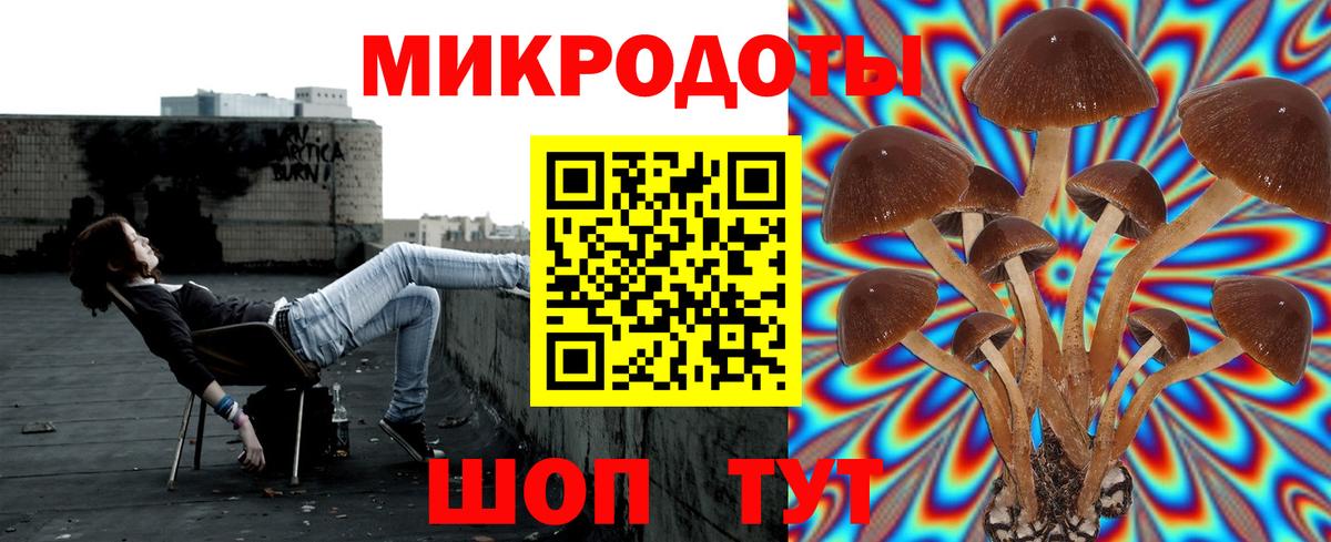 Псилоцибиновые грибы Psilocybe Лыткарино