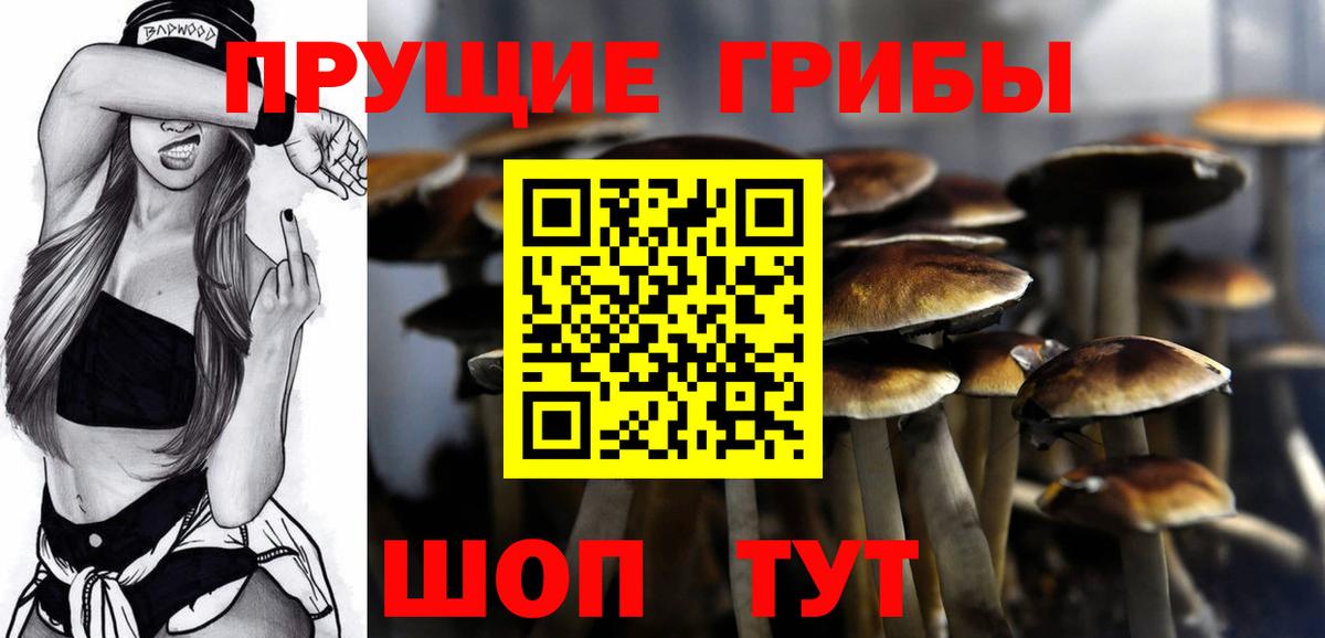 Псилоцибиновые грибы Cubensis  купить наркоту  Лыткарино 